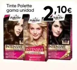 FROIZ PALETTE Tinte gama oferta