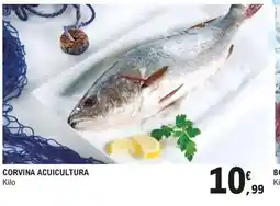 E.Leclerc Corvina acuicultura oferta