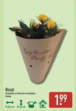 ALDI Rosal oferta
