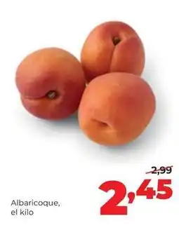 Alimerka Alimerka - albaricoque oferta