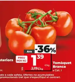 Dia Tomàquet Branca oferta