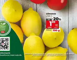 Dia Llimones oferta