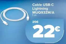Carrefour Cable USB-C Lightning MUQ93ZM/A oferta
