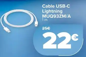 Carrefour Cable USB-C Lightning MUQ93ZM/A oferta