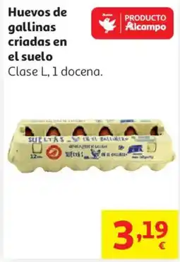 Alcampo Huevos de gallinas criadas en el suelo oferta