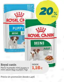 Supermercados MAS ROYAL CANIN Perro humedo mini puppy o mini adult oferta