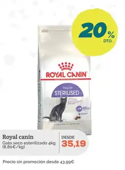 Supermercados MAS ROYAL CANIN Gato seco esterilizado oferta