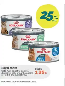 Supermercados MAS ROYAL CANIN Gato hum appetite control, digestive, light weight o ageing 11+ airlift 85g (15,88€/kg) oferta
