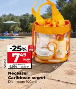 Dia DIA IMAQE Necesser Caribbean secret oferta