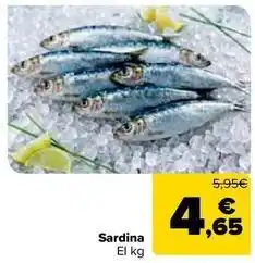 Carrefour Market Sardina oferta