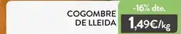 Plusfresc Cogombre de lleida oferta