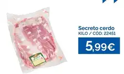 Dialsur Cash & Carry Secreto cerdo oferta