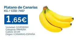 Dialsur Cash & Carry Origen - platano de canarias oferta