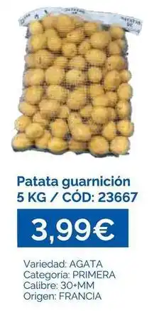 Dialsur Cash & Carry Agata - patata guarnicion oferta