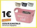 Centrakor It - cesta de almacenaje oferta