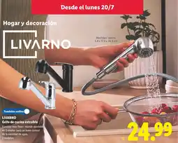 Lidl LIVARNO Grifo de cocina extraíble oferta