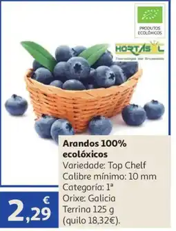 Alcampo Arandos 100% ecolóxicos oferta