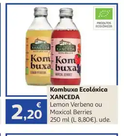 Alcampo XANCEDA Kombuxa Ecolóxica oferta