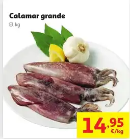 Alcampo Calamar grande oferta