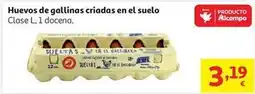 Alcampo Auchan - huevos de gallinas criadas en el suelo oferta