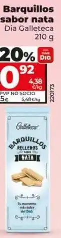 Dia Dia galleteca - barquillos sabor nata oferta