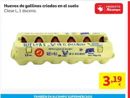 Alcampo Huevos de gallinas criadas en el suelo oferta