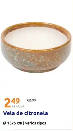 Action Vela de citronela oferta