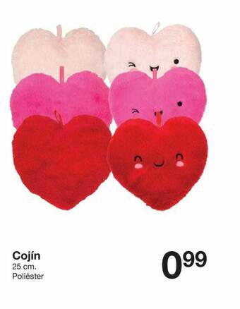 Zeeman Cojín oferta