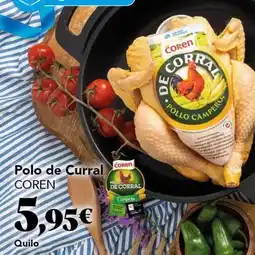 Gadis Coren - polo de curral oferta