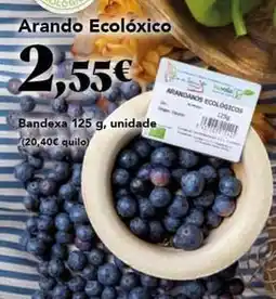 Gadis Bandexa oferta