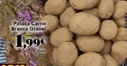 Gadis Pataca carne branca oferta