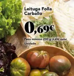 Gadis Leitega folla oferta