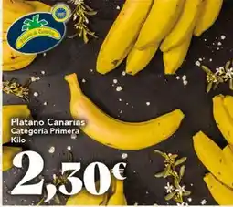 Gadis Plátano canarias categoria primera oferta