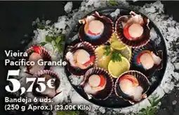 Gadis Vieira pacífico grande oferta