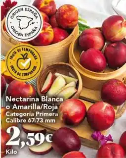 Gadis Origen - nectarina blanca o amarilla/roja oferta