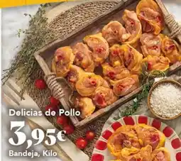 Gadis Delicias - de pollo oferta