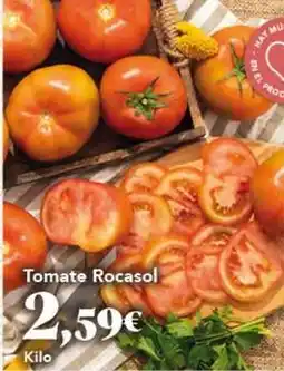 Gadis Tomate rocasol oferta