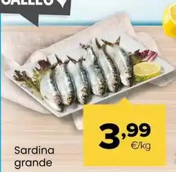 Autoservicios Familia Sardina grande oferta