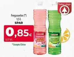 SPAR Lanzarote Spar - fregasuelos oferta