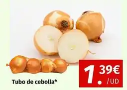 Maskom Supermercados Tubo de cebolla oferta
