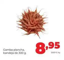 Alimerka Gamba plancha oferta