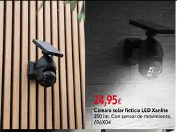 Cadena88 Cámara solar ficticia LED Xanlite oferta