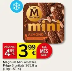 Supermercados Charter MAGNUM Mini ametlles Frigo oferta