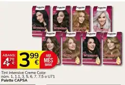 Supermercados Charter PALETTE Tint Intensive Creme Color oferta