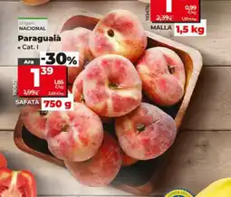 Dia Paraguaià oferta