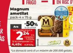 Dia MAGNUM ametllat oferta