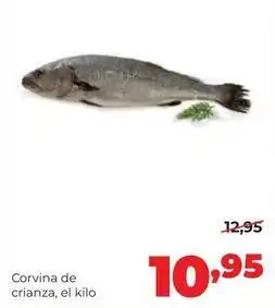 Alimerka Alimerka - corvina de crianza oferta