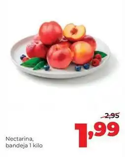 Alimerka Nectarina oferta