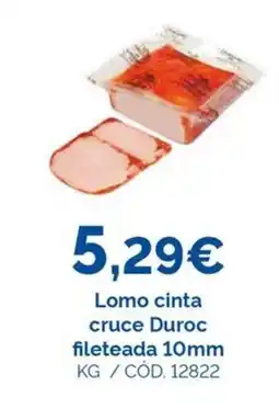 Dialsur Cash & Carry Lomo cinta cruce Duroc fileteada 10mm oferta