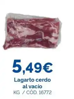 Dialsur Cash & Carry Lagarto cerdo al vacío oferta